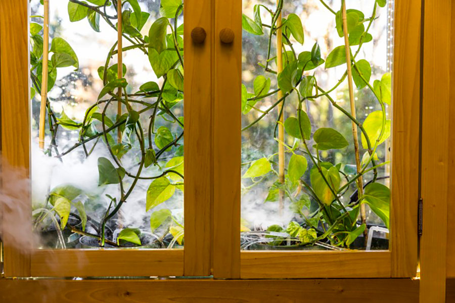 Cómo limpiar de forma eficiente el aire de nuestro hogar